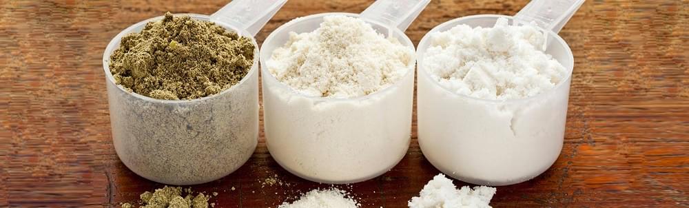 Which is better hemp protein or whey?
