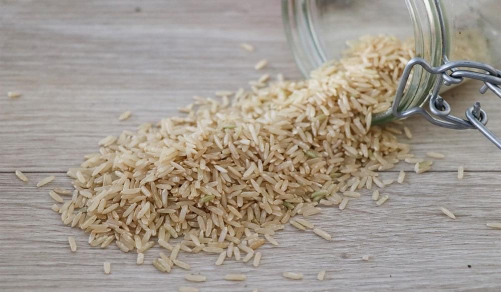 Which is the brown rice protein powder function and application?