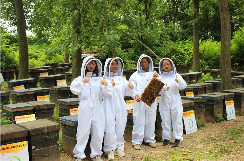 Somos todos apicultores hoje!