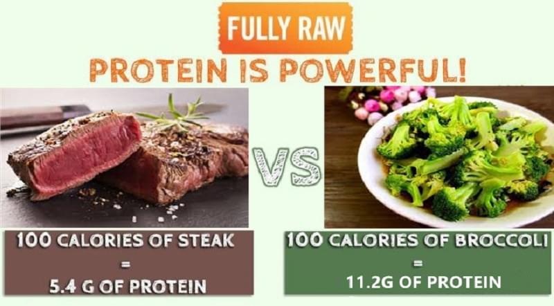 Proteína vegetal VS Proteína animal3