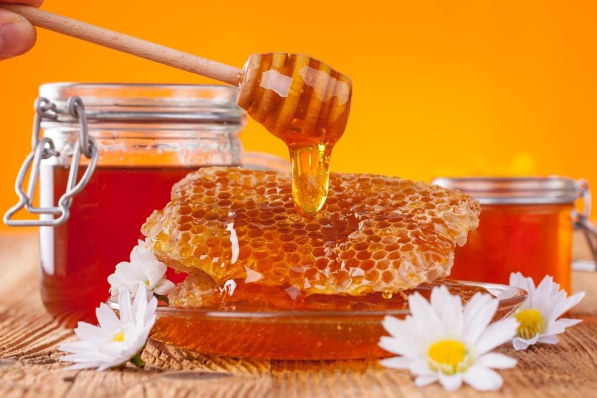 The Sweet Path of Nature: Discover Honeycomb