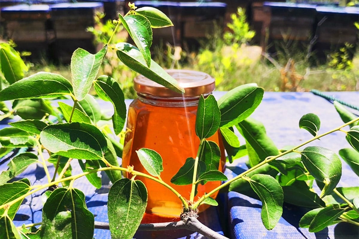 What's the Secret to Expanding Middle Eastern Sidr Honey Market