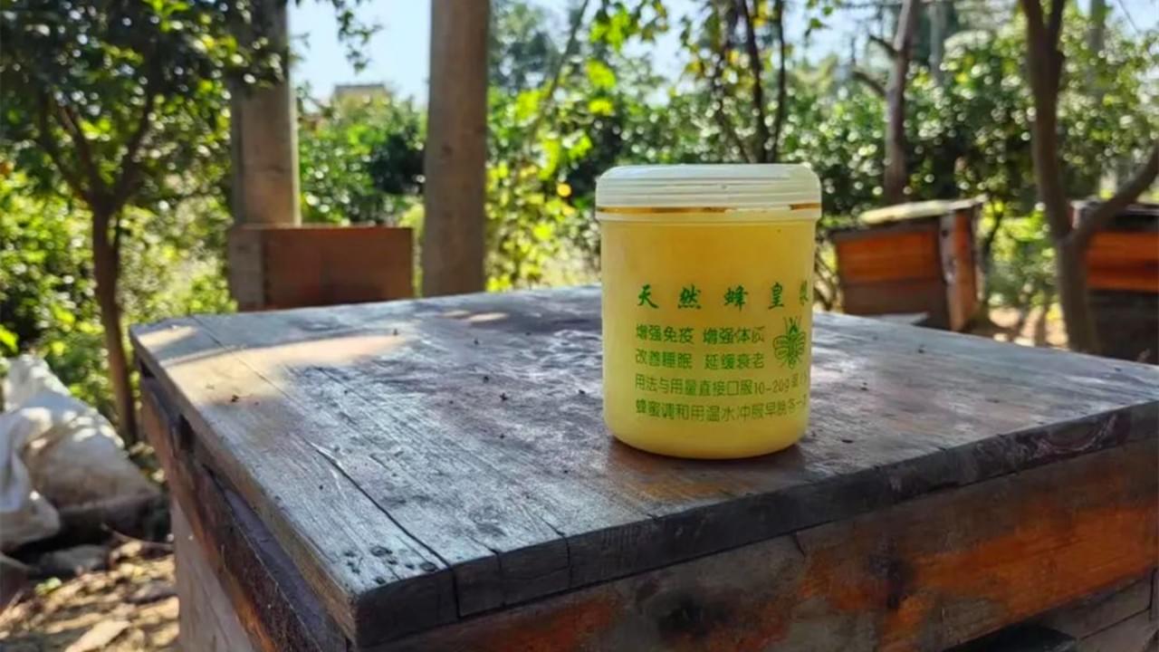 Exportaciones de jalea real: el impacto global de China y el dominio del consumo de Japón