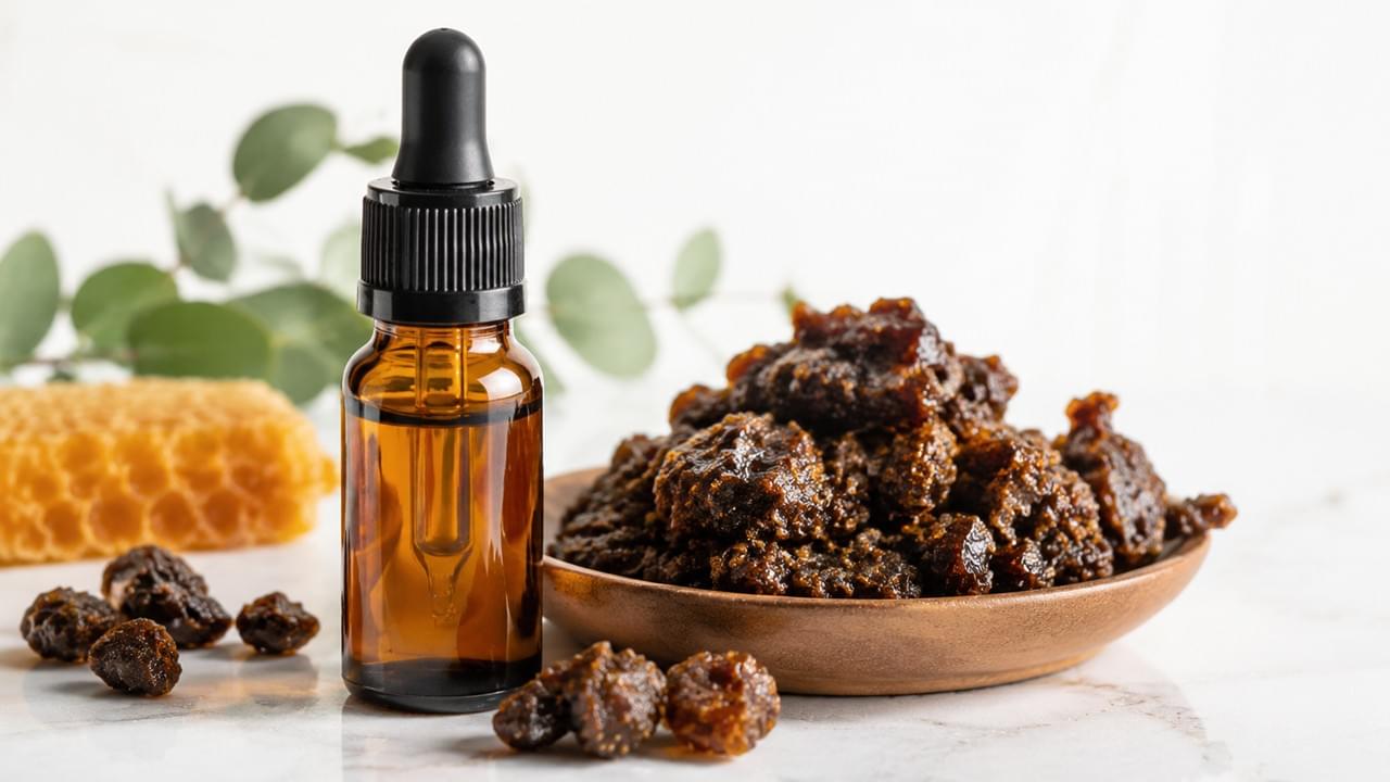 Extrato de própolis, suplemento natural para a saúde, ingrediente antibacteriano B2B